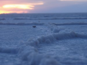 Salt Flats at sunrise