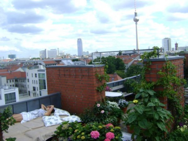 Sarah's roof terrace, Berlin