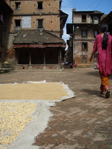Maize drying, Bhaktapur