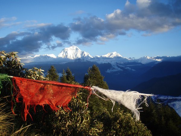 Peace Flags & Mountains, Poon Hill