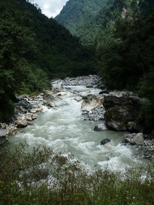 River Scenery