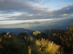 Streaming sunlight, Poon Hill