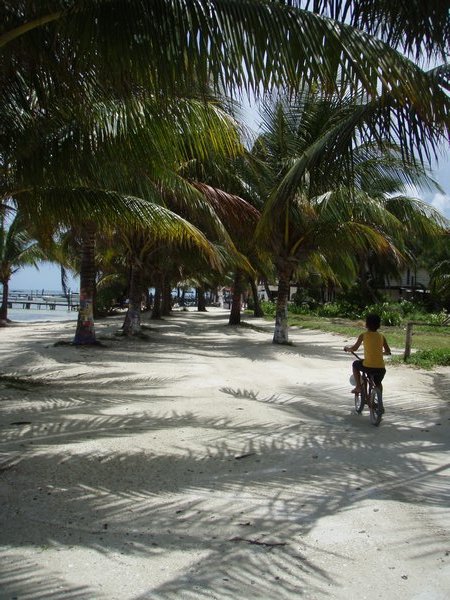 Cycling the streets, Caye Caulker