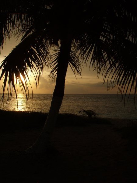 Sunrise, Rendezvous Caye
