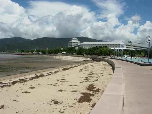 The beach in Cairns...you can see why everyone uses the pool right next to it instead.