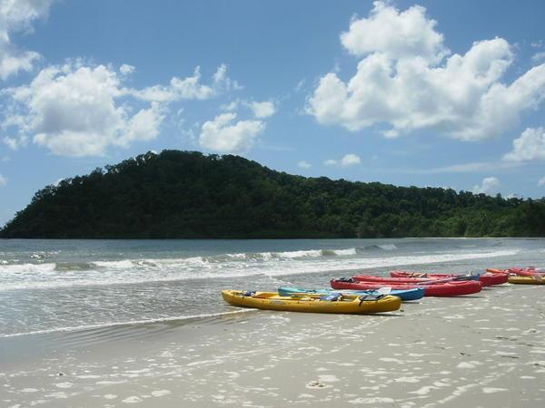 Cape Tribulation beach, after the kayaking.
