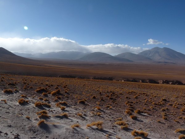 Altiplano