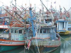 Fleet of Fishing Boats