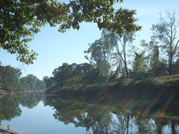 East Alligator River 