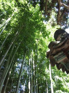 Bamboo at Beomeosa