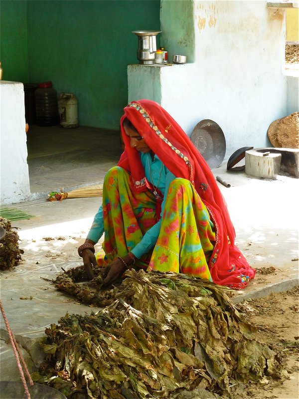 village woman roping tobacco