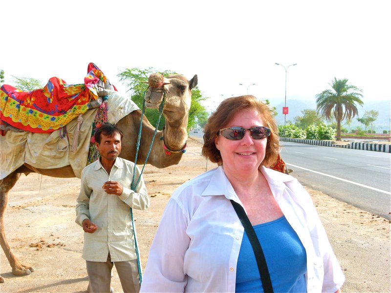 with the camels