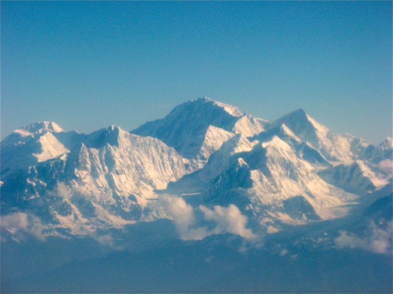 Himalayans