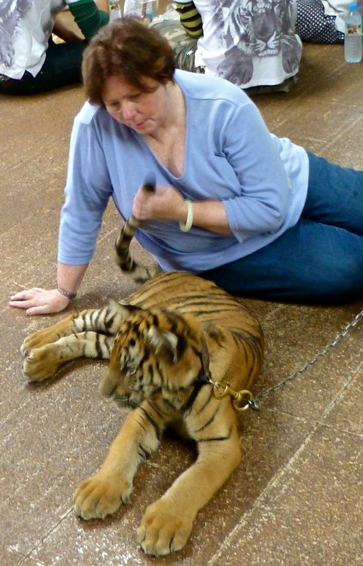 tiger by the tail!