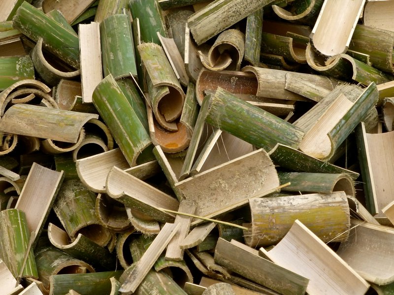 bamboo cut into pieces 