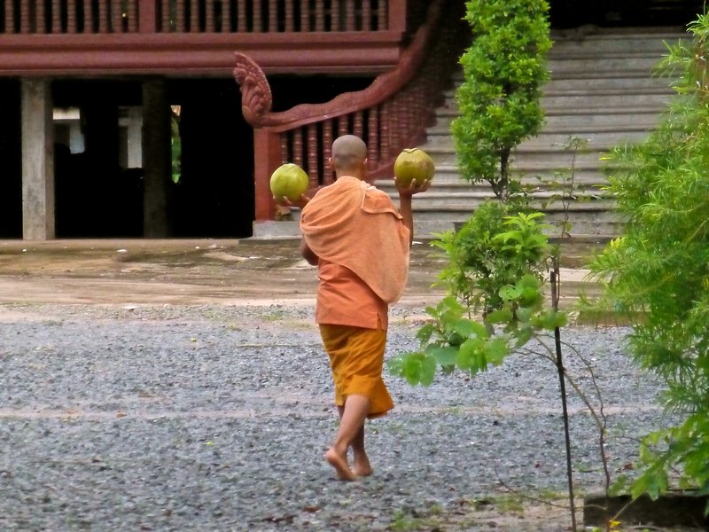 Monks live at Angkor