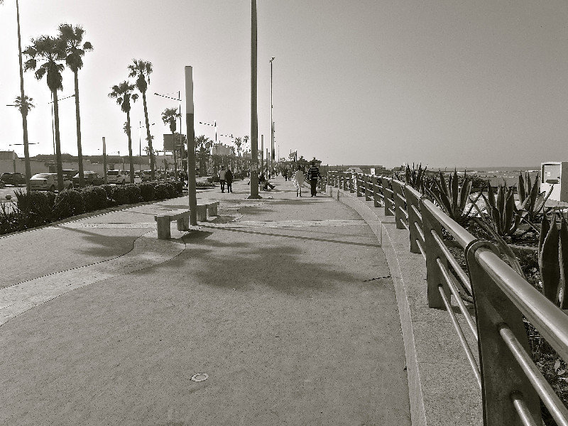 boardwalk by the ocean