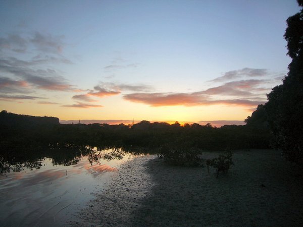 Wenderholm Marshland at dawn