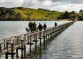 Whananaki Foot Bridge - Longest in Southern Hemisphere