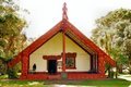 Maori Treaty House