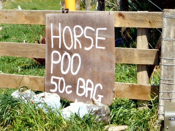 POO for sale 50c a bag