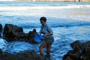 Pili collecting Mussels