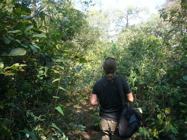 Heading into Arpora Jungle