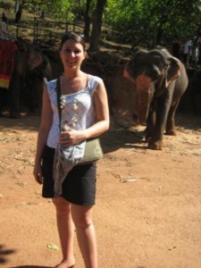 Valerie has found more Elephants