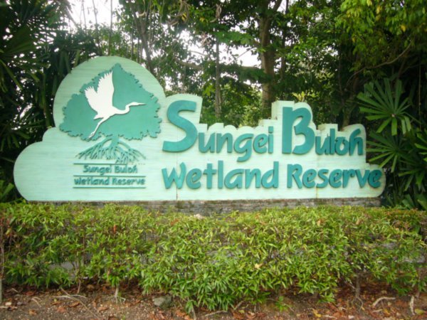 Sungei Buloh Wetland Reserve