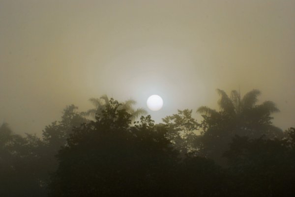 The Sun struggles through the mist of the morning