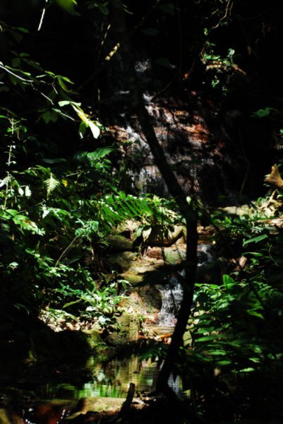 Jungle stream way below us