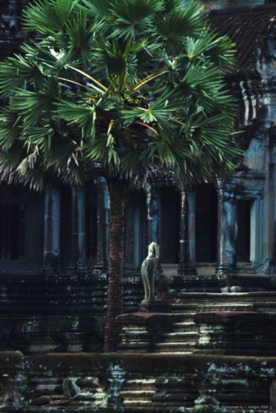 images of Angkor Wat 3