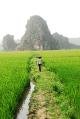 A local woman returning from the paddy fields