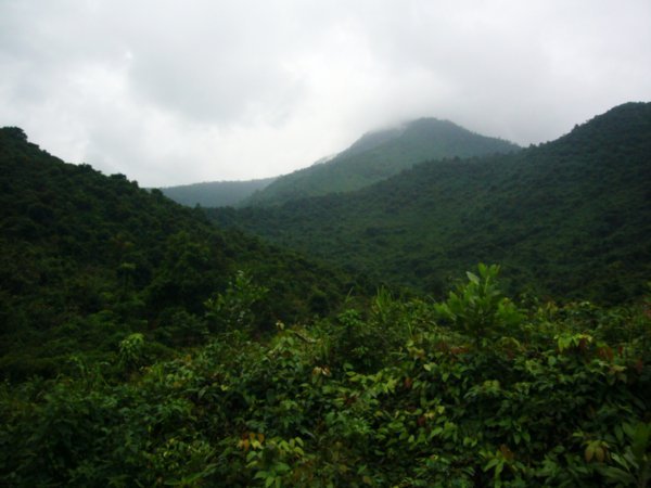 Bach Ma Monsoon Forest