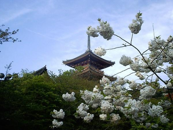 Kyomizudera Temple, Kyoto (the name is a little complicated, don