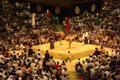 Sumo competition, Nagoya