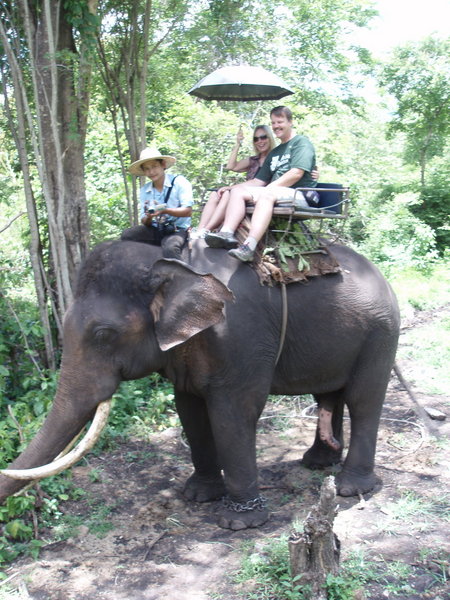 Elephant ride, mandatory!