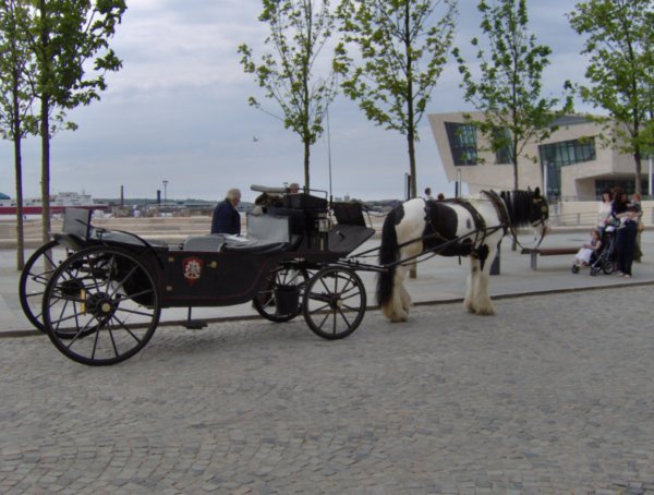 a horse and carriage near the pier
