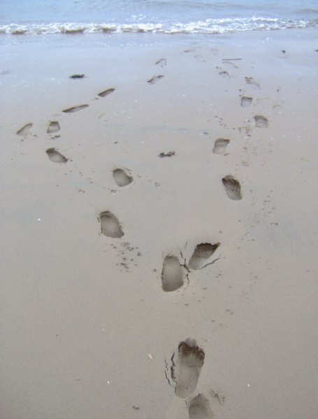 my footprints