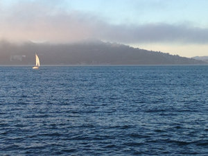 little sailboat on the bay