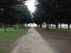 pathway in Crissy Field