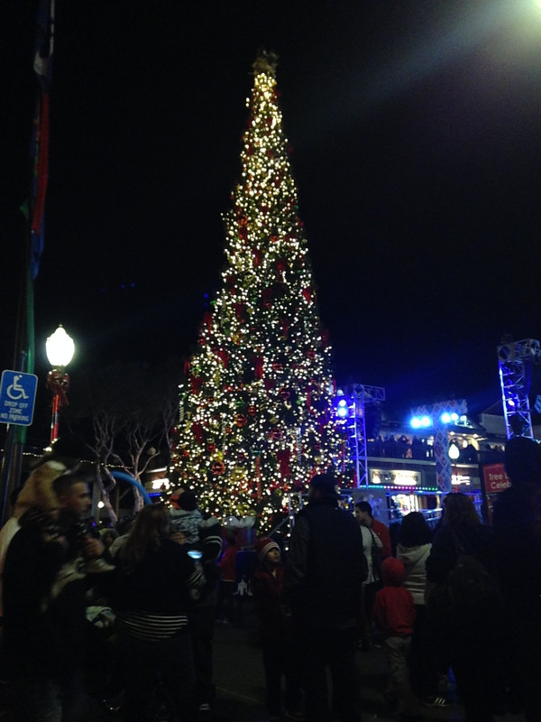 Christmas tree on pier 39