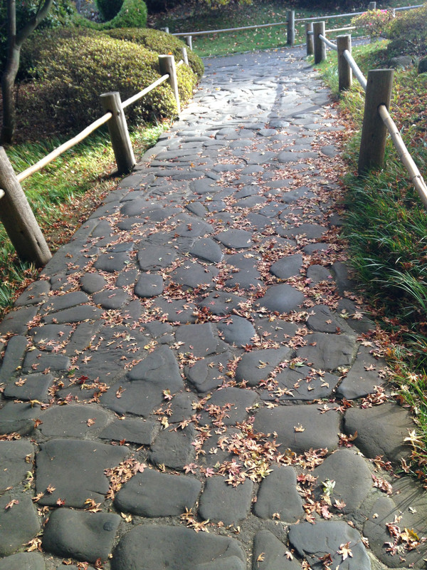 cool pathway