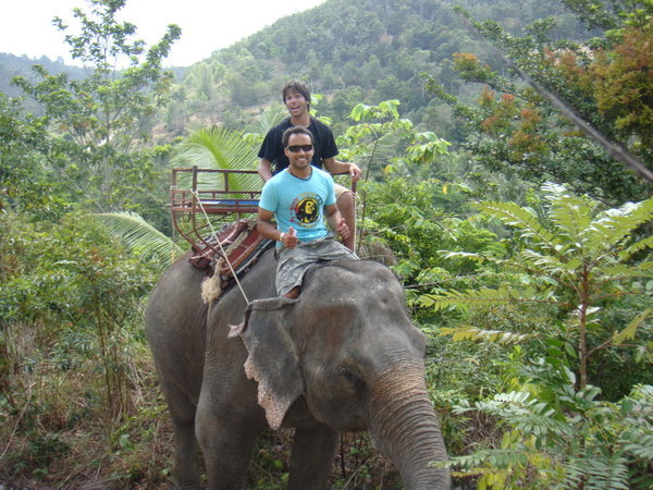 elephant trek ;-)