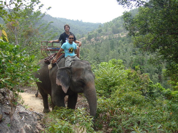 elephant trek 2 ;-)