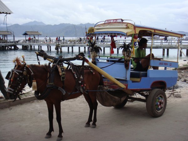 Only mode of transport on island