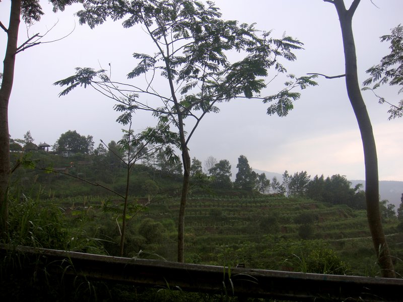 Indonesian landscape 