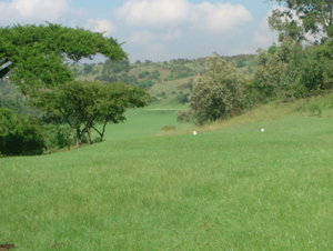 View from the 2nd Tee