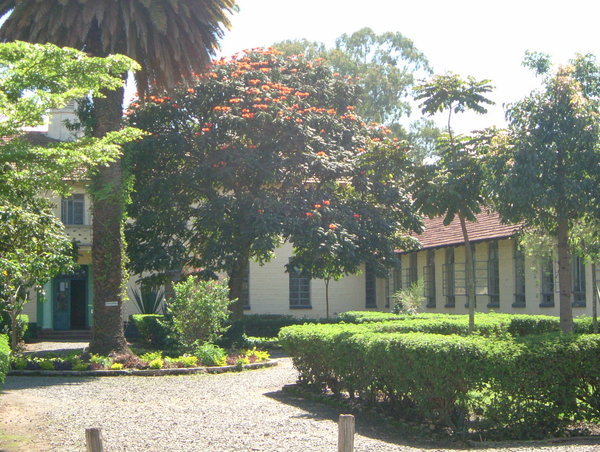 Menengai School - Beautiful Grounds