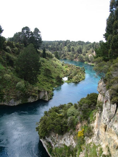 Waitomo River, Taupo